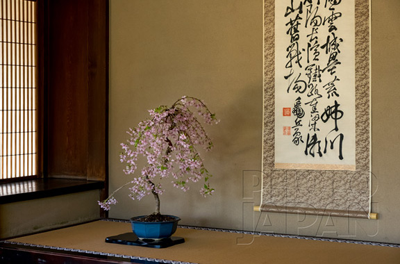 Photo Japan 4C-09